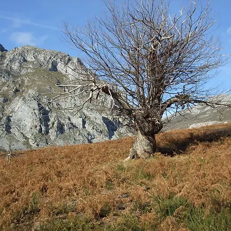 La Anjana Ojedo Potes