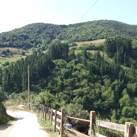 Pensionat La Anjana Ojedo *