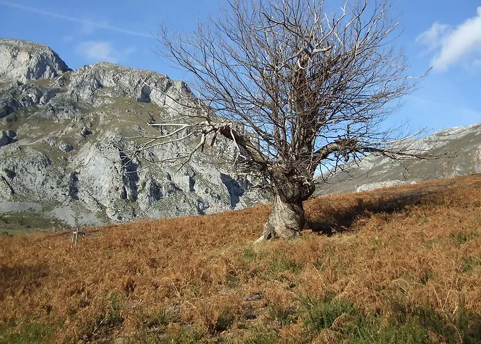 La Anjana Ojedo Potes